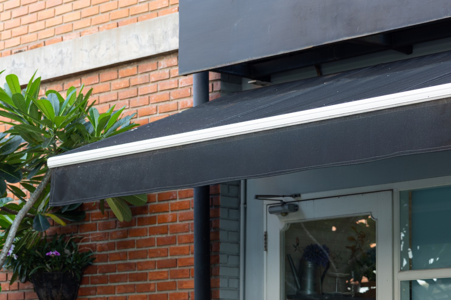 Zip Screen or Retractable Awning
